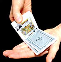 スペンガリートランプ