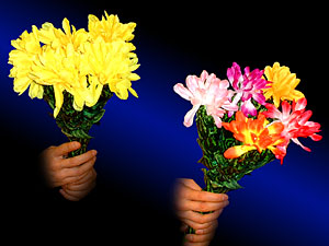 ブルーミングブーケ（布製ダブル）