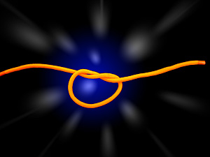 ニュー・フォールスノット