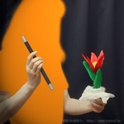 カップフラワー（演技４）