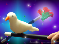 鳩と花と魔法の杖
