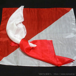 ジャンボ・サッカーカメレオンシルク