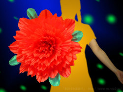 プロダクション・ジャイアントフラワー