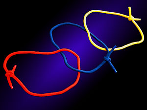 リンキングロープ